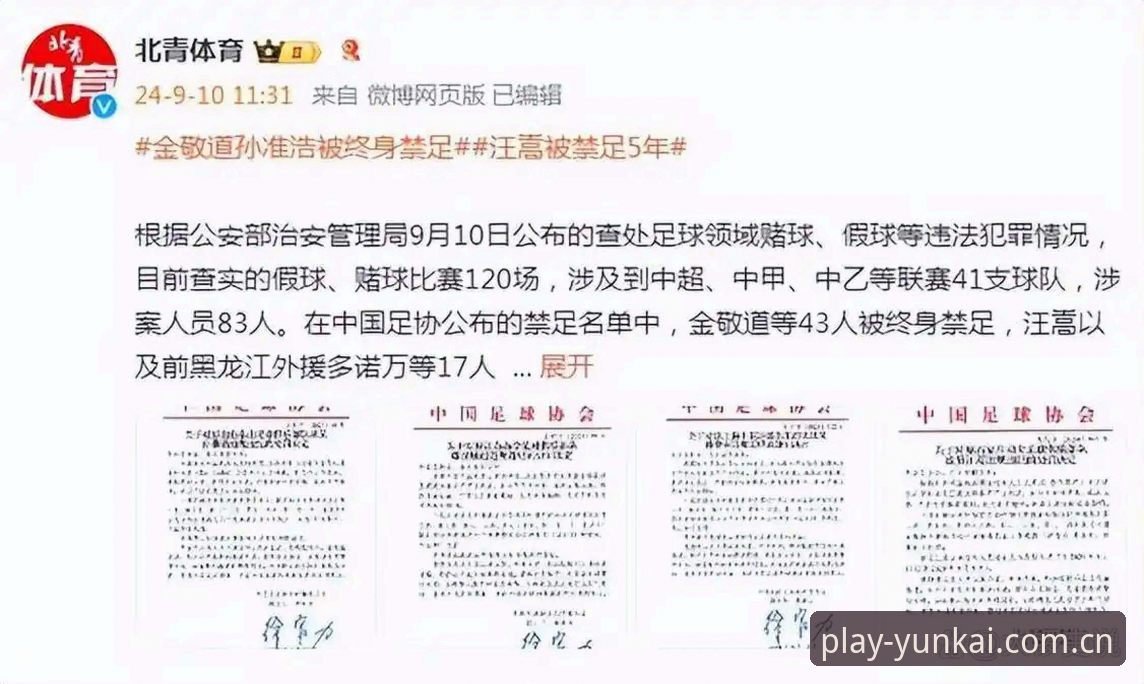 云开体育入口使用技巧 中国足协第三批禁足名单深度解析